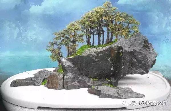 图解 怎么制作一盆山石盆景的方法