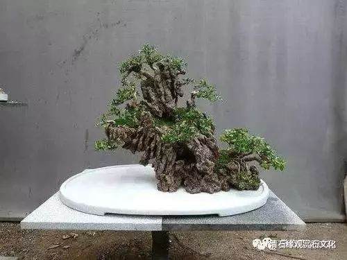 图解 怎么制作一盆山石盆景的方法