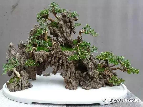 图解 怎么制作一盆山石盆景的方法