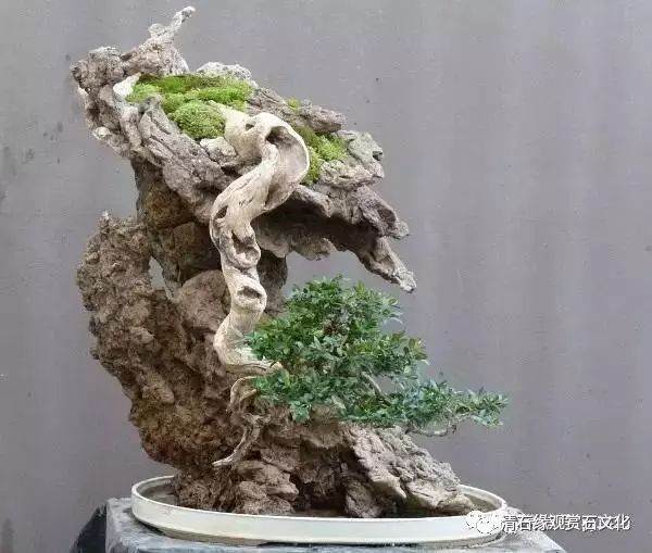 图解 怎么制作一盆山石盆景的方法