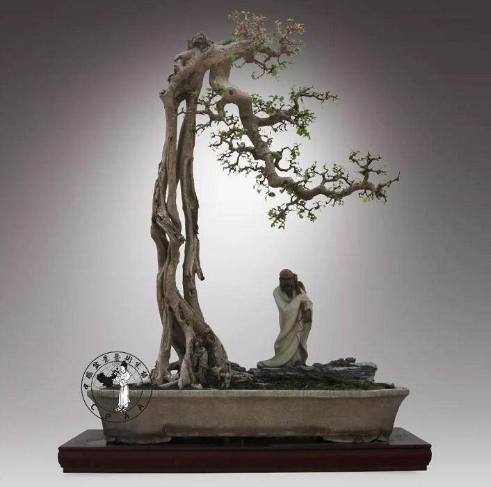 岭南盆景的发展体现了岭南文化的固有特质