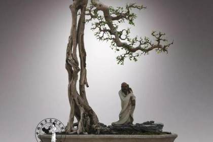 岭南盆景的发展体现了岭南文化的固有特质