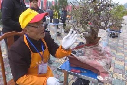 河南省第三届盆景创作大赛在唐河县开赛