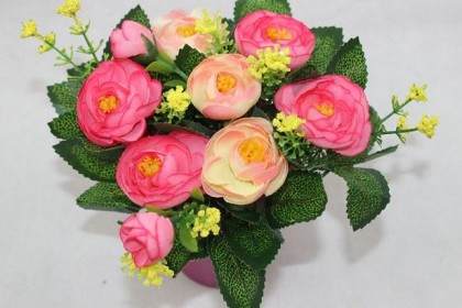 盆景园内茶花展 新奇 11盆茶花插花 抢镜