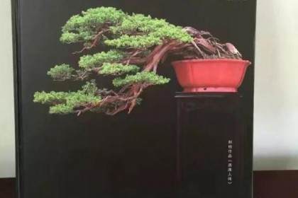 王恒亮盆景艺术有限公司盆景技能培训班开课通知