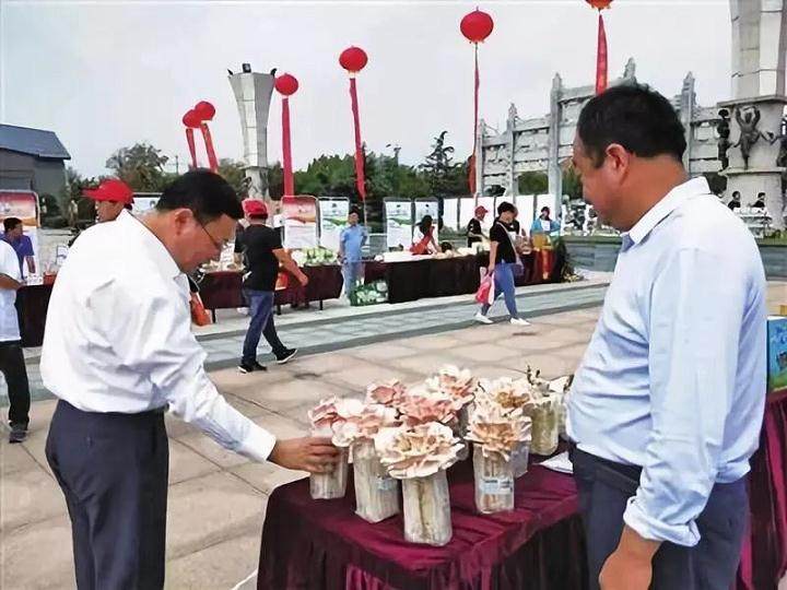 山东盆景蘑菇 亩产纯收入可达1.5万元