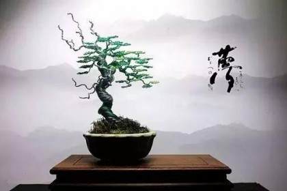 王明曦创意金属丝盆景