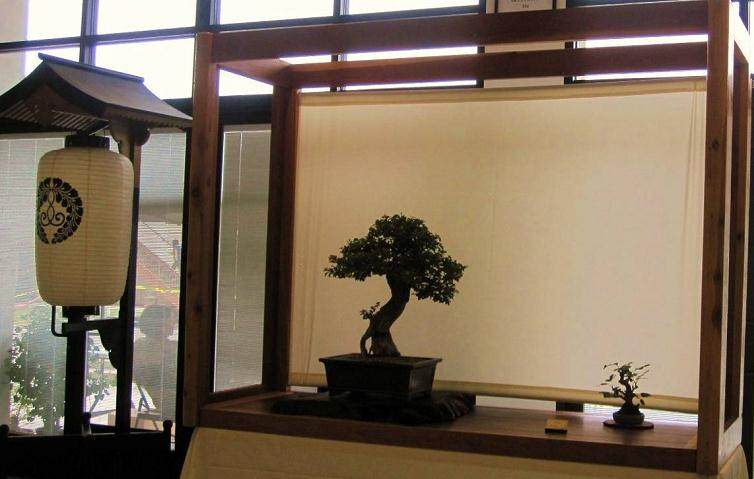 如果使用传统的盆景盆子 它应该是干净