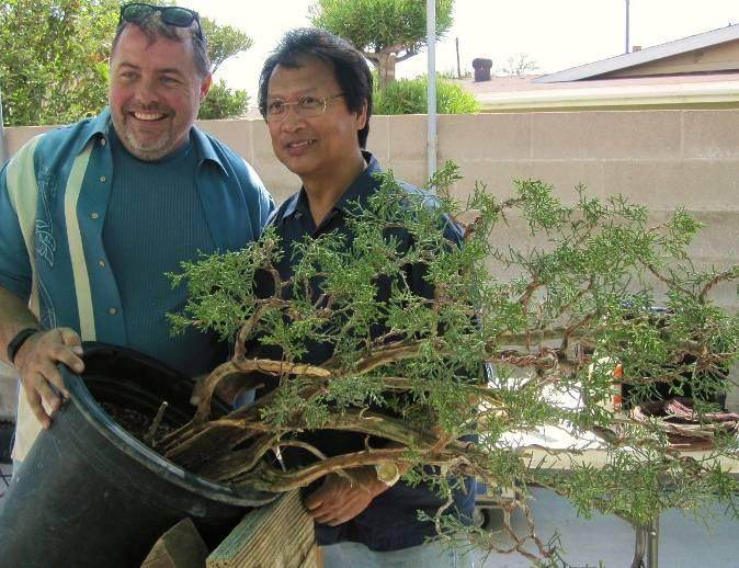如果使用传统的盆景盆子 它应该是干净