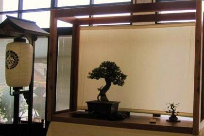 如果使用传统的盆景盆子 它应该是干净