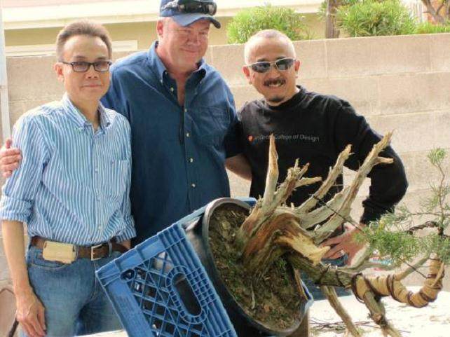 第53届奥兰治县盆景展览