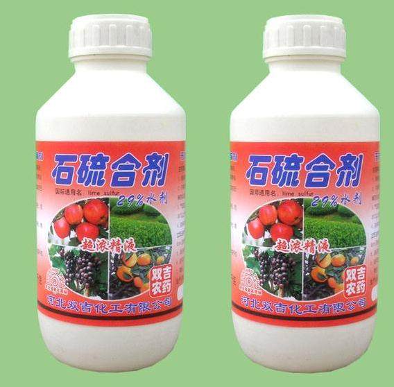 石硫合剂的配置与使用