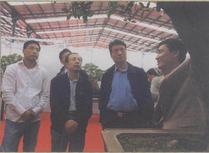 记中国唐风盆景展创办人张小斌