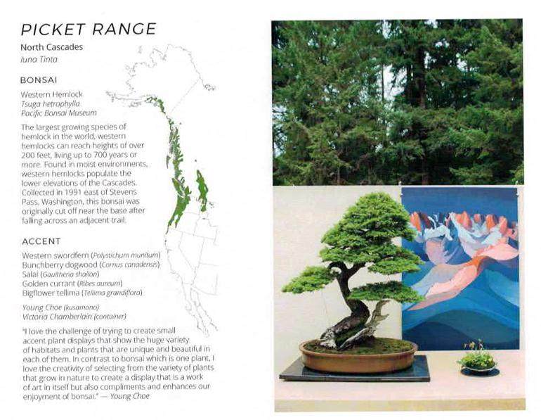 美国风景画作为盆景本土生态系统的艺术表现形式