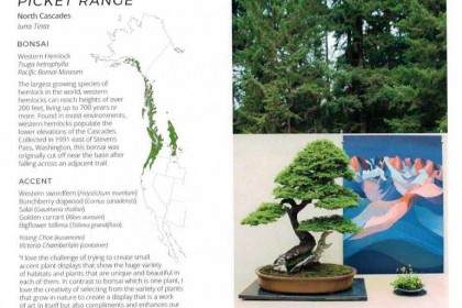 美国风景画作为盆景本土生态系统的艺术表现形式