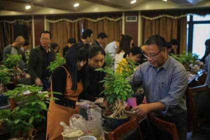 浙江供电公司举办了一场微盆景创作与养护讲座