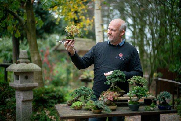 阿尔贝克的在线小品盆景课程