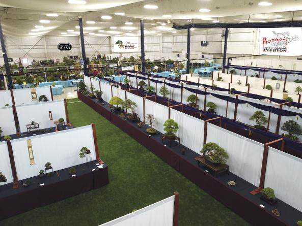 2018年美国国家盆景展在纽约举行