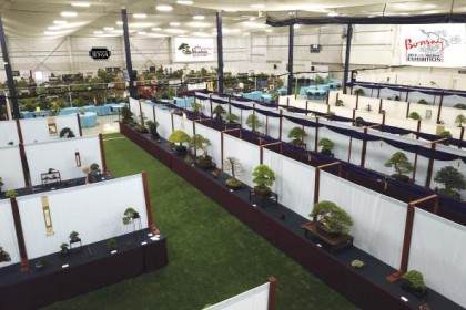 2018年美国国家盆景展在纽约举行