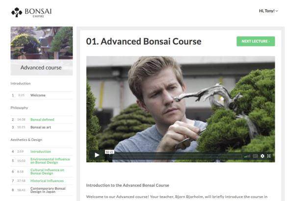 盆景帝国的高级盆景课程