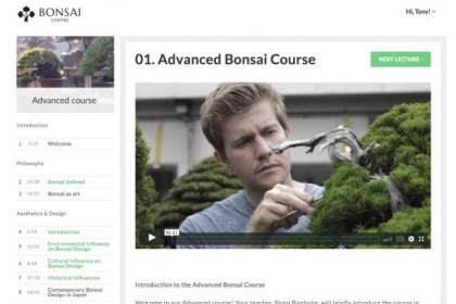 盆景帝国的高级盆景课程