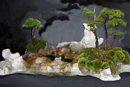 英国盆景艺术家-克雷格·卡曾斯