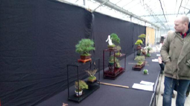 废旧杂物廉价售卖和约克郡盆景协会