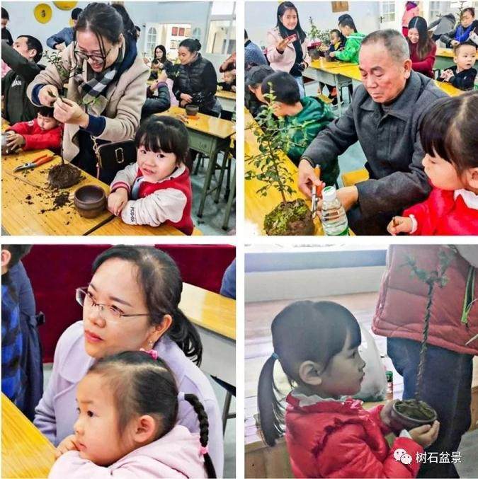重庆举办中国盆景走进校园美育亲子课
