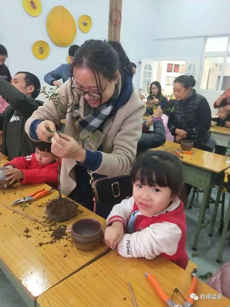 种一棵智慧树 培孩子一起成长 玩盆景越早越好