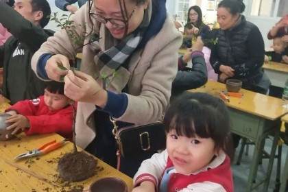 种一棵智慧树 培孩子一起成长 玩盆景越早越好