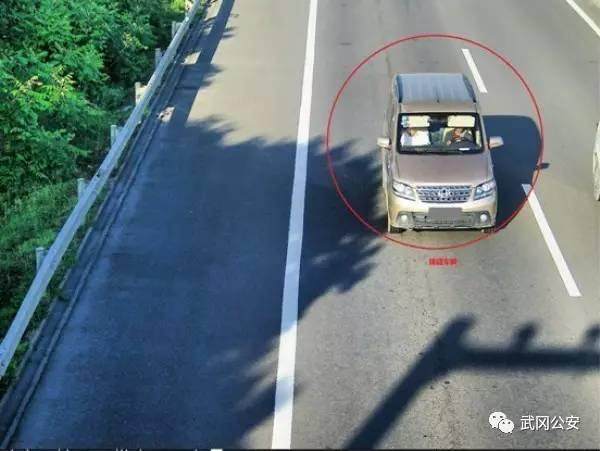 价值十万余元名贵盆景不翼而飞 警方快速破案