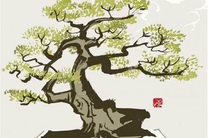 盆景有虫子 女子竟向店家索要精神损失费