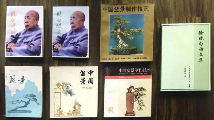 盆景理论的带头人-徐晓白先生的盆景人生