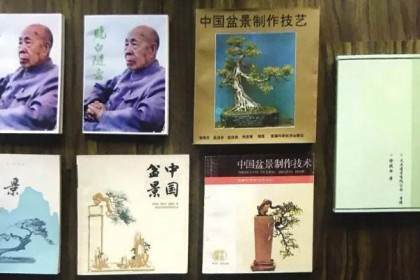 盆景理论的带头人-徐晓白先生的盆景人生