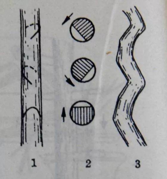 图解 盆景主干怎么拿弯的5个方法