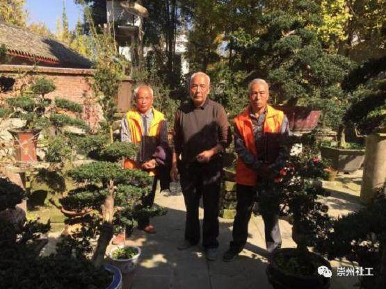 寻访严家弯湾盆景匠人和传承者