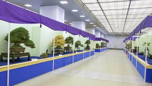 日本盆景大观展-第2部分