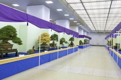 日本盆景大观展-第2部分