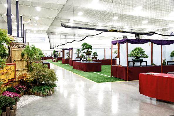 第五届美国国家盆景展 - 更新