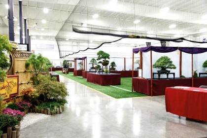 第五届美国国家盆景展 - 更新