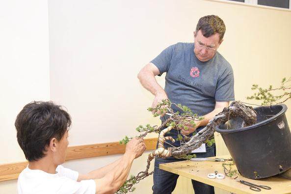 2016在英国小品盆景工作坊