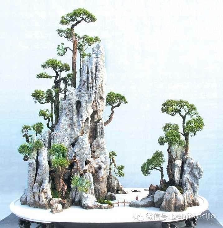 小区有人破坏绿化 想打造成私人盆景庭院