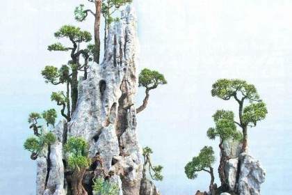 小区有人破坏绿化 想打造成私人盆景庭院