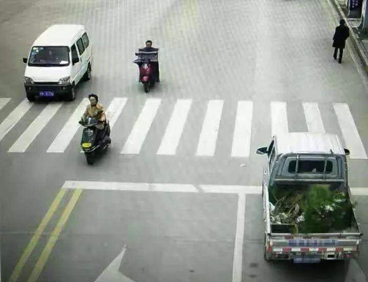 岳西一男子偷盗盆景13盆 被警方快速抓获