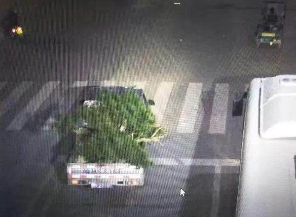 岳西一男子偷盗盆景13盆 被警方快速抓获