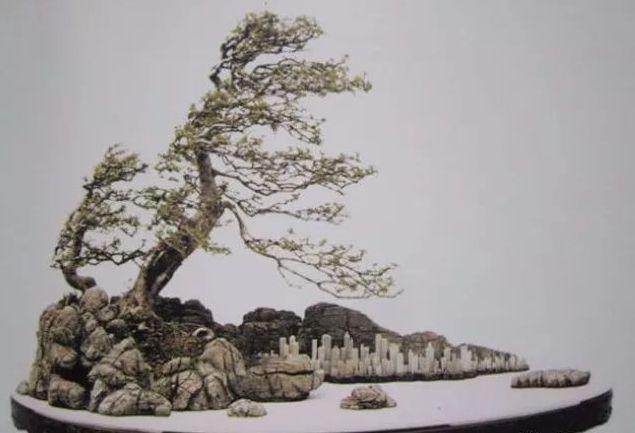 鬼斧神工赏盆景之十一:风吹式盆景