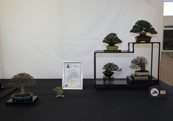 2015年小品盆景英国展会