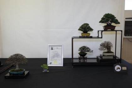 2015年小品盆景英国展会