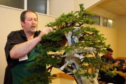 日本最优秀的年轻盆景艺术家之一大雅的研讨会