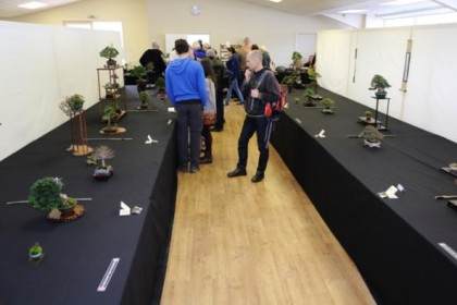 2016年英国小品盆景展览